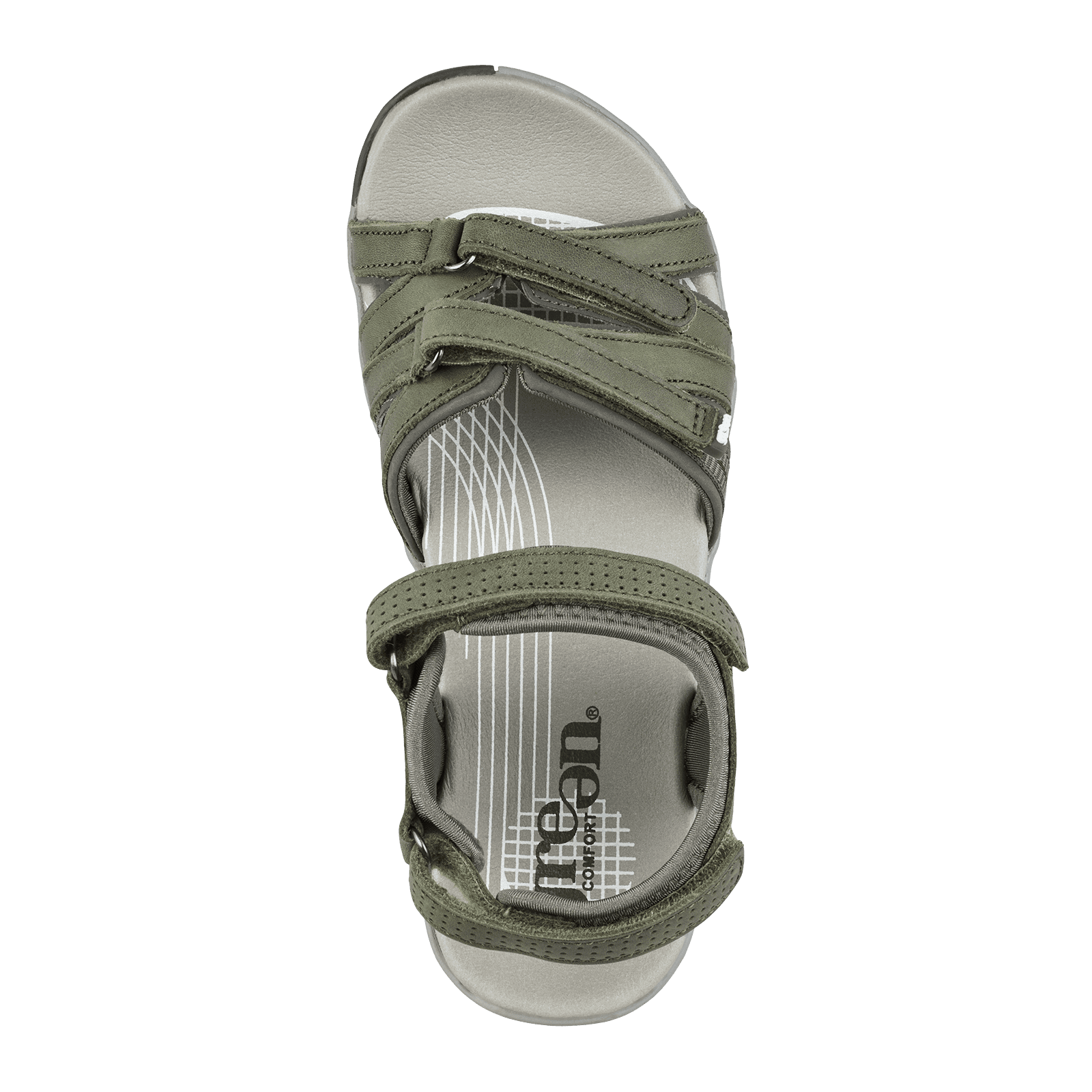 CORSICA CAIA - OLIVE